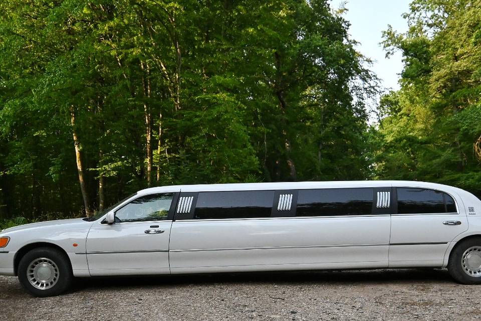 Stella Limousine