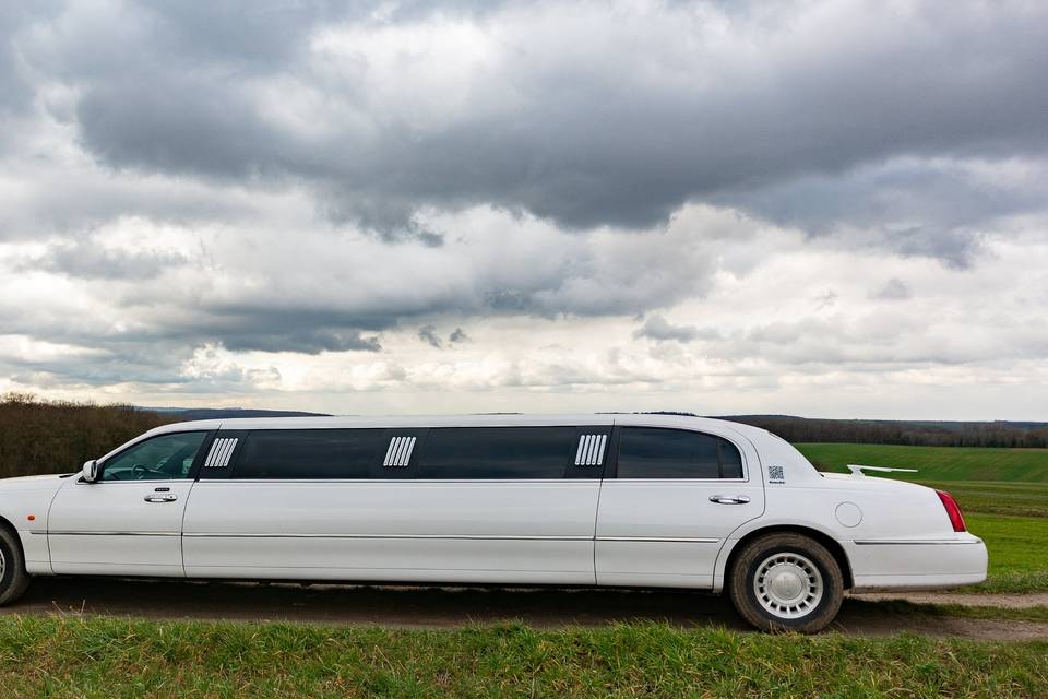 Stella Limousine