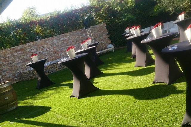 Cino pro mange-debout