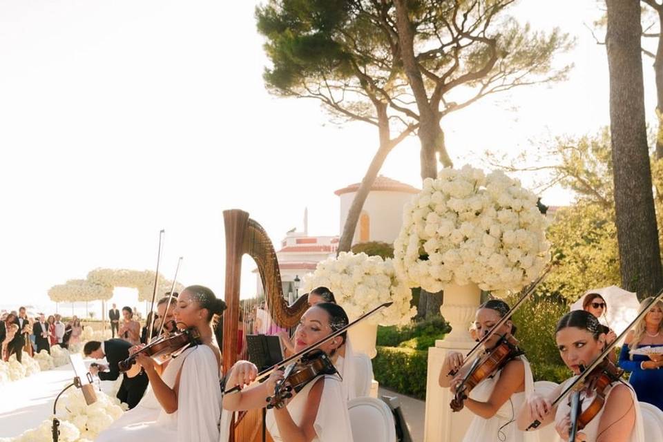 Quatuor à cordes élégant