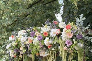 Eternel Dahlia
