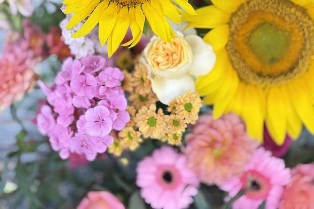 Fleurs arche
