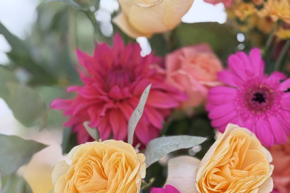 Fleurs arche