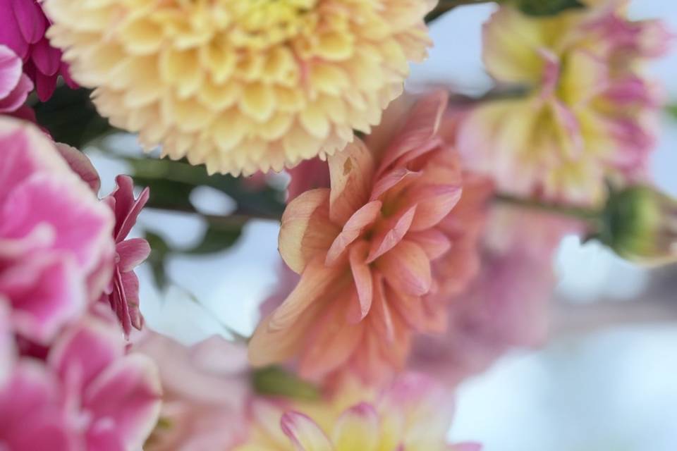 Fleurs arche