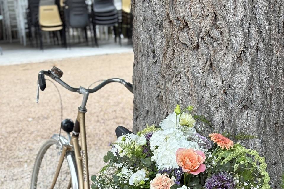 Composition vélo