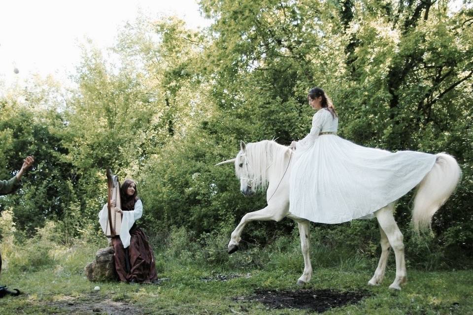 Cie de la Licorne d'Argent