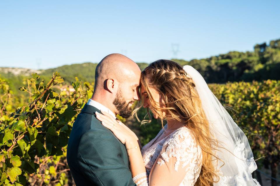 Photo couple vignes
