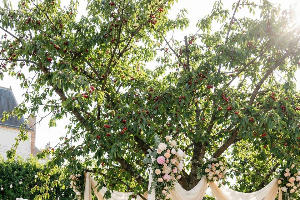 Jardin exterieur