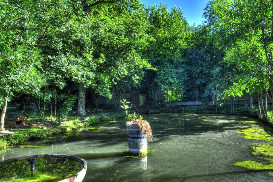 Manoir de Saint Gervais