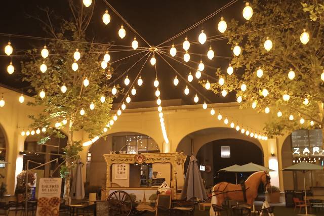 Féérie nocturne SPR
