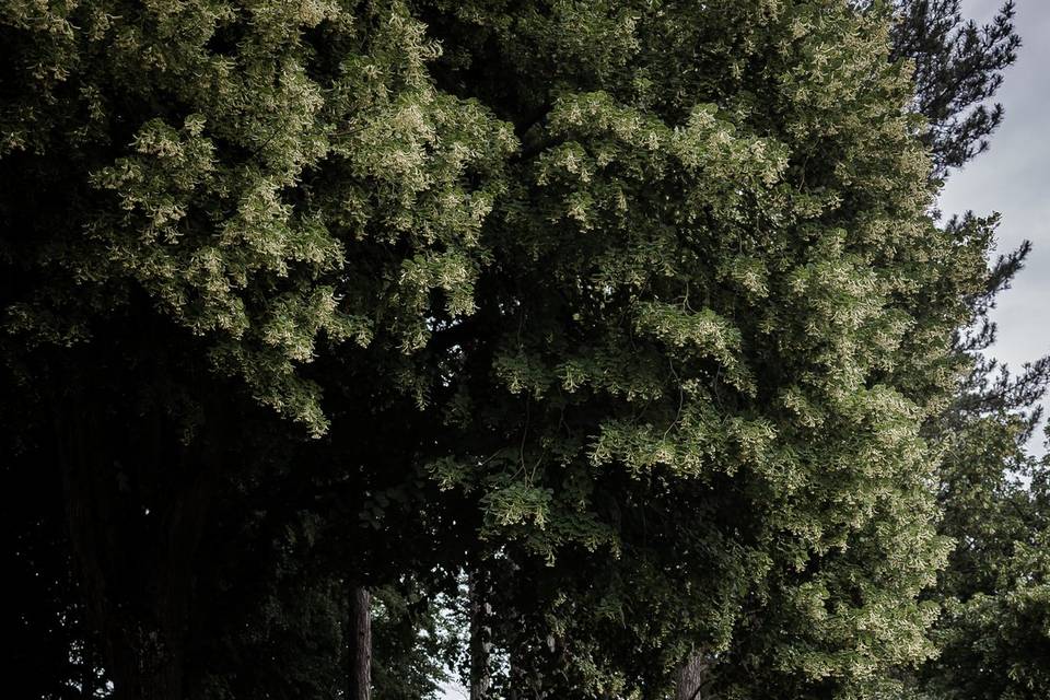 JulienGdPhotography