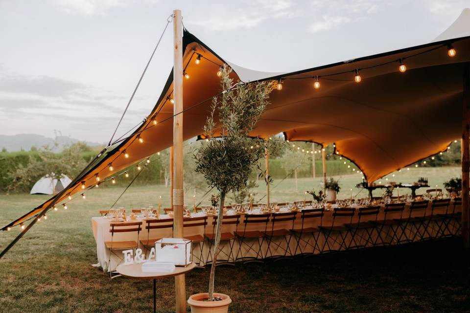 Location guirlandes guinguette