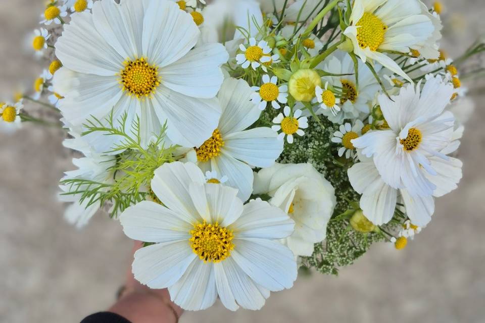 Rose & Marguerite