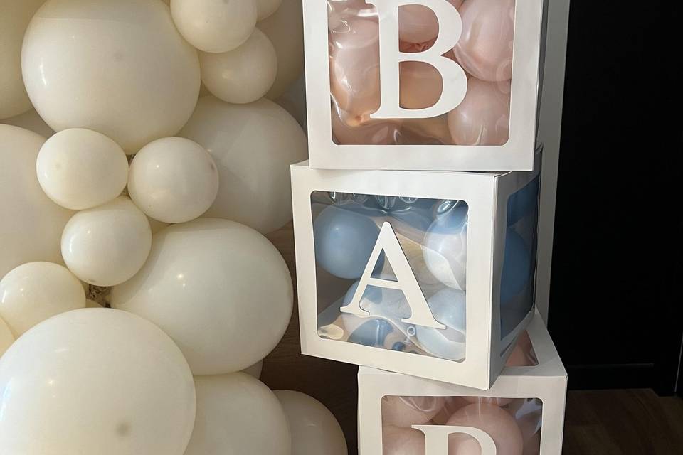 Gender Reveal