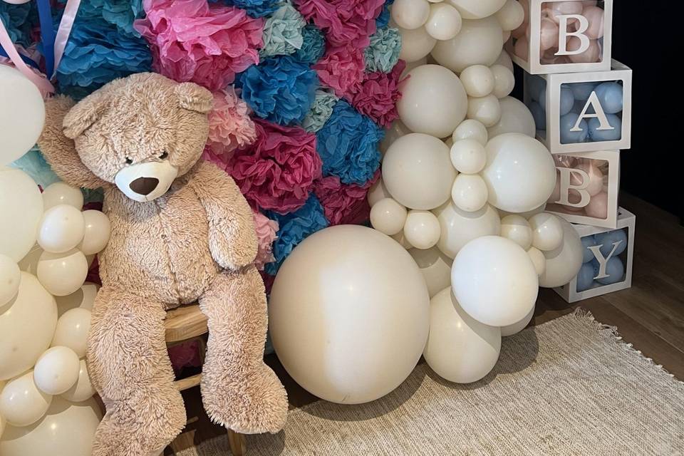 Gender Reveal