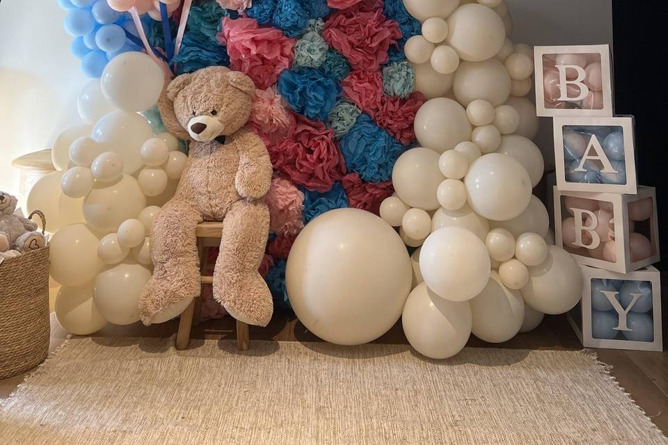 Gender Reveal