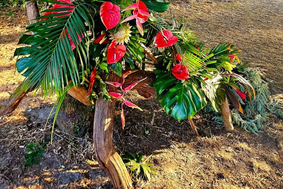LA RESERVE TAINO