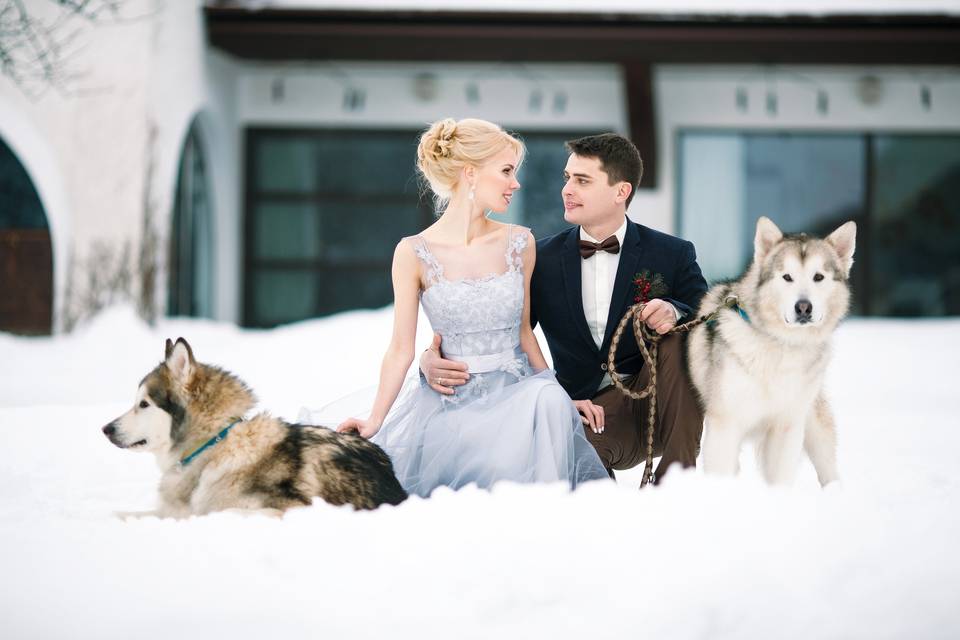 Mariage Huskies Laponie