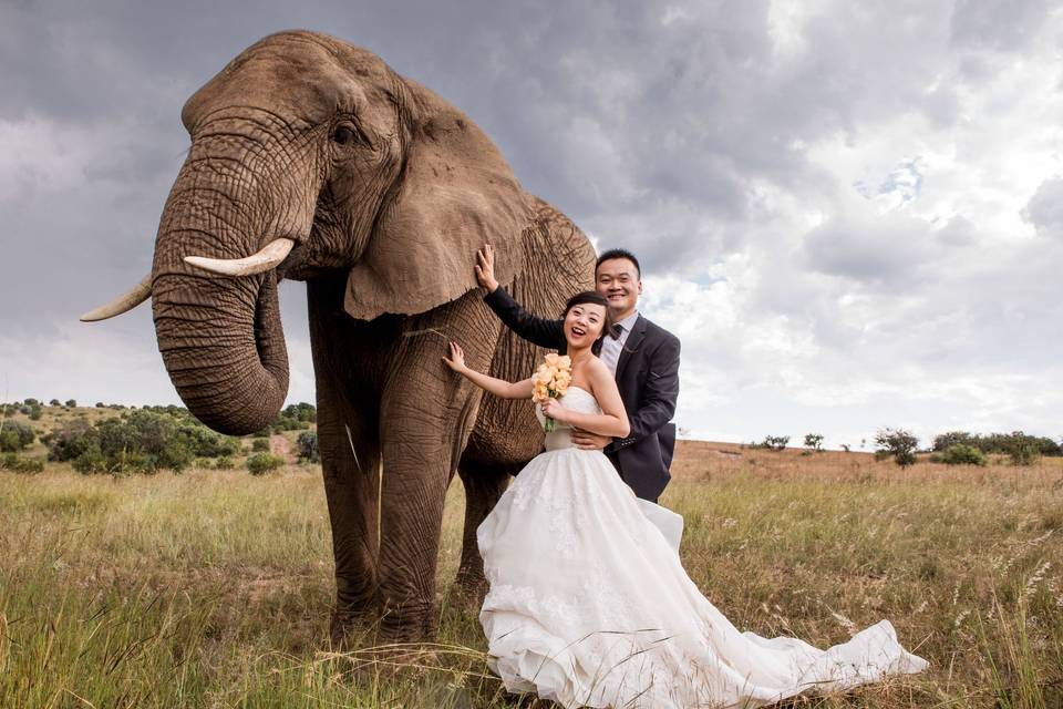 Mariage en Afrique du Sud