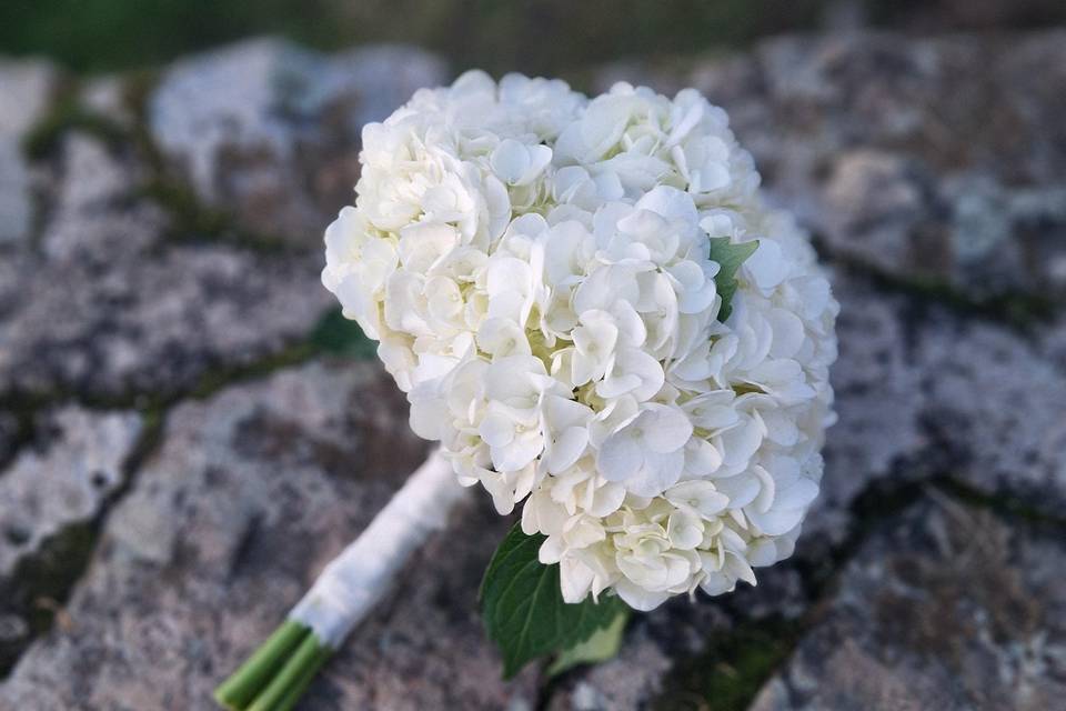 Bouquet simple hortensia