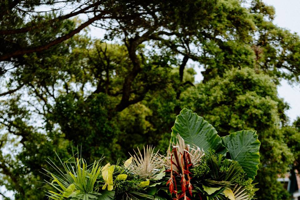 Mariage jungle les landes