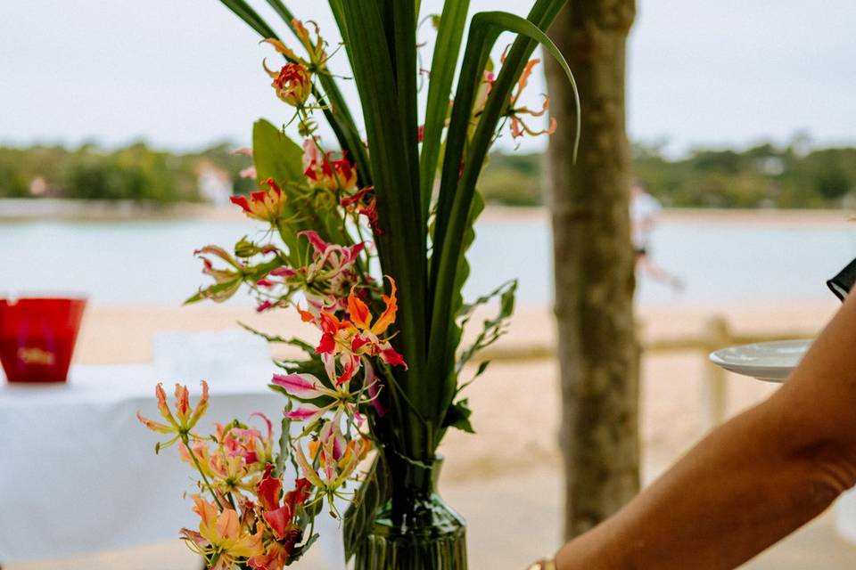 Mariage jungle les landes