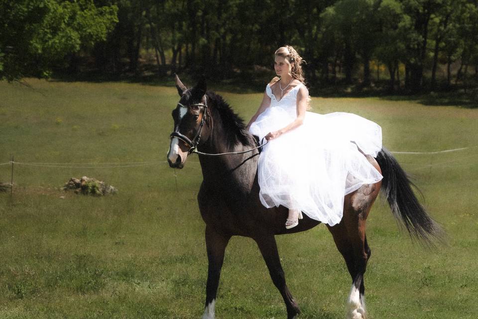 Mariage équestre