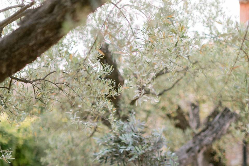 Mariage en Provence