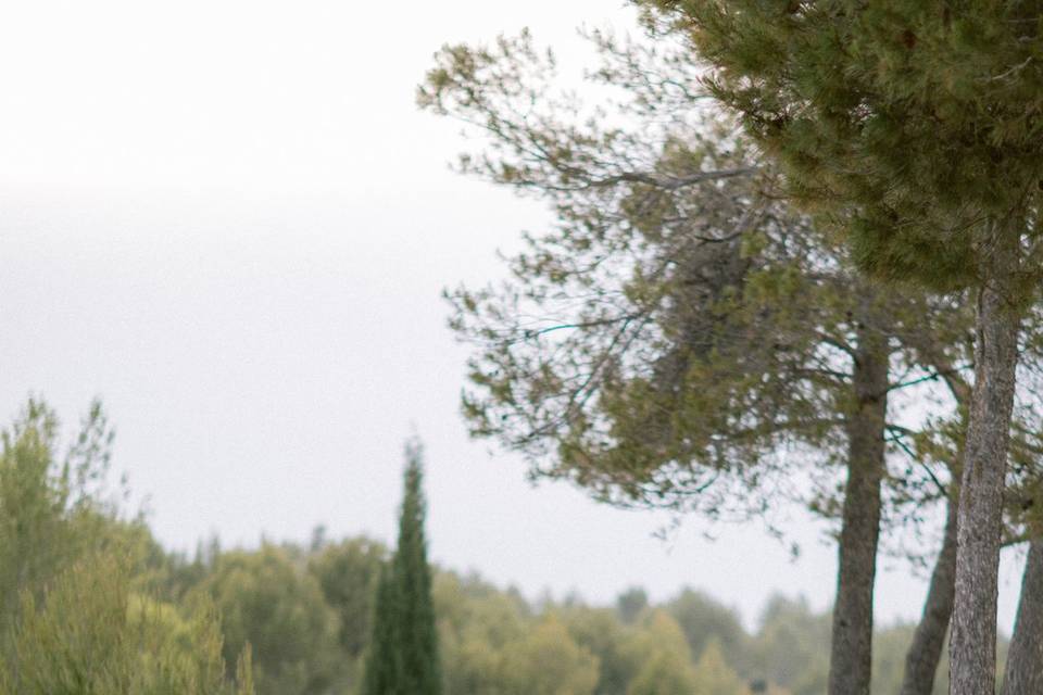 Mariage en Provence