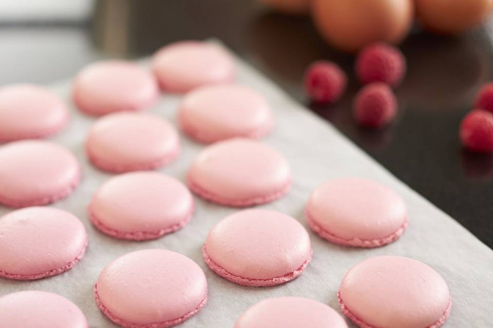 Coque de macarons