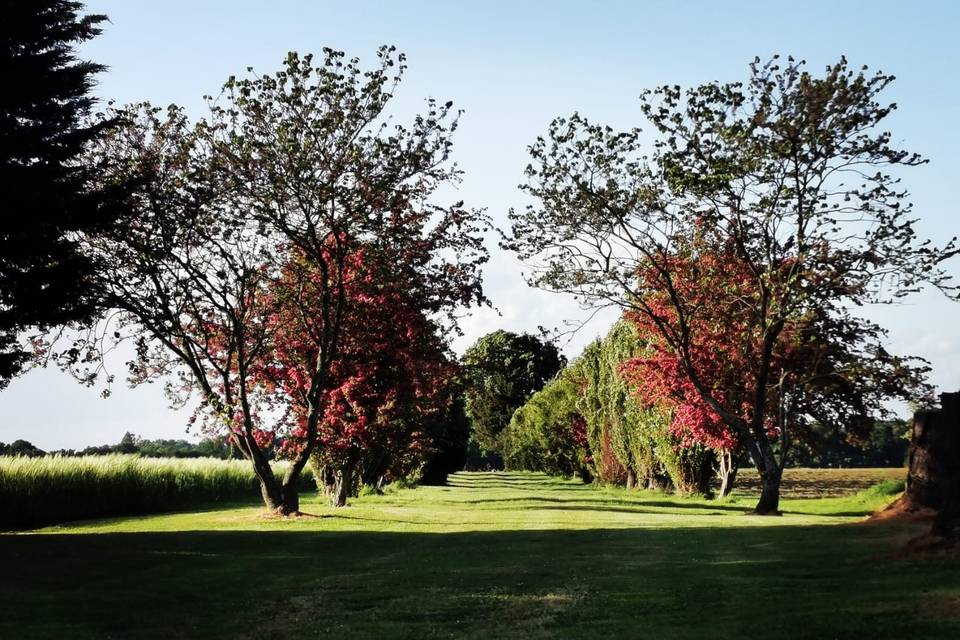 Allée Nord Domaine