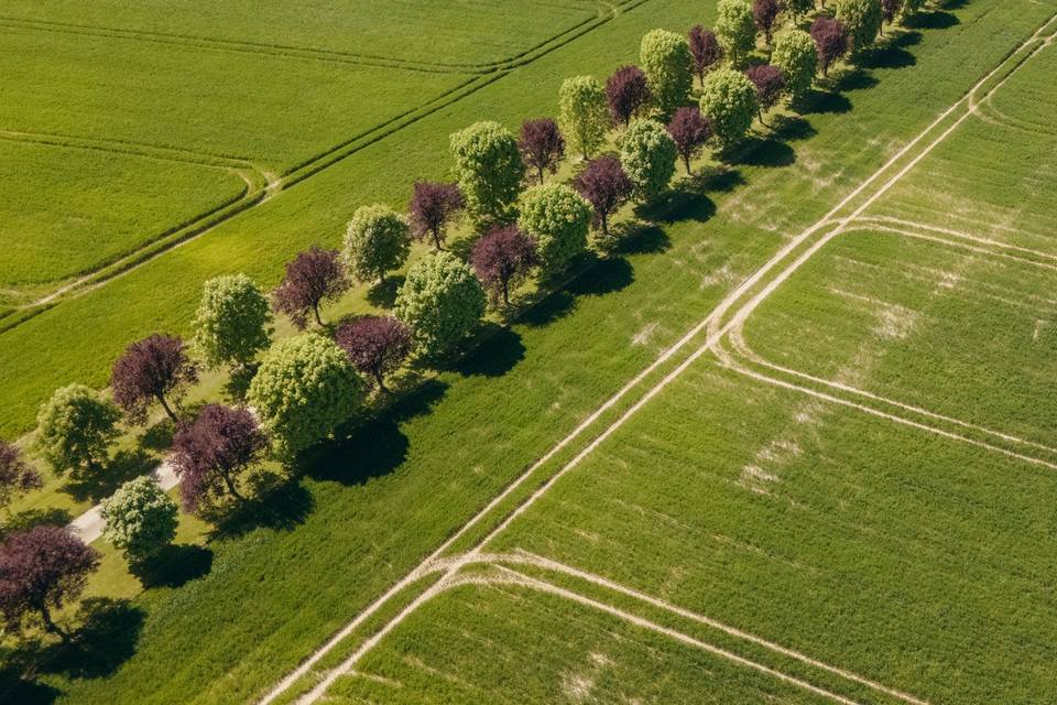 Le Domaine des Crançons
