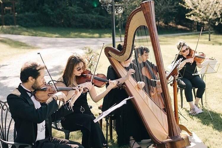 Orchestre au château
