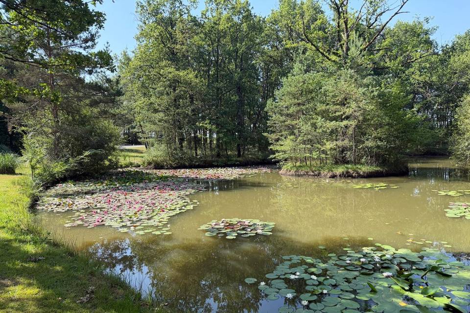 L'Etang