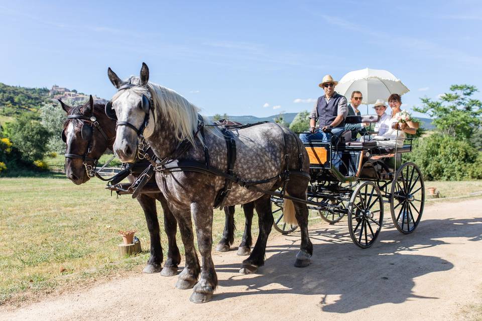 L'attelage pour votre mariage