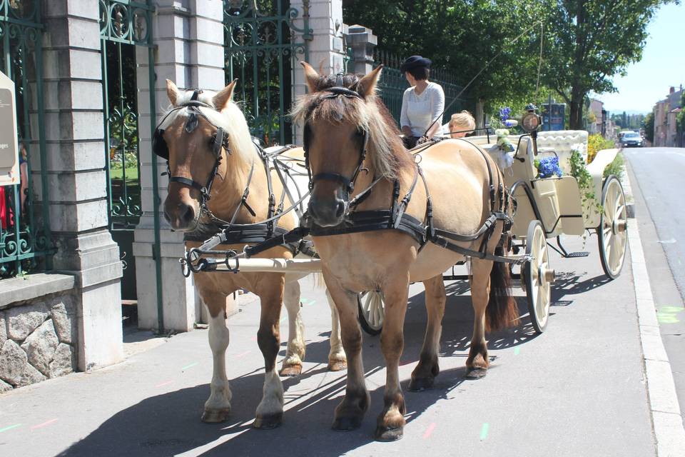 Devant la mairie