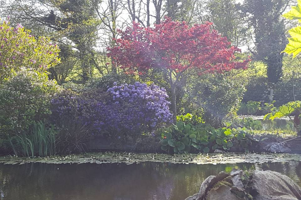 Le paln d'eau en avril