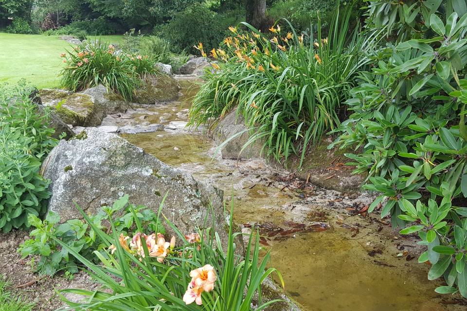 Le ruisseau fleuri