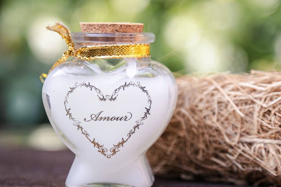 Photographe mariage Beaujolais