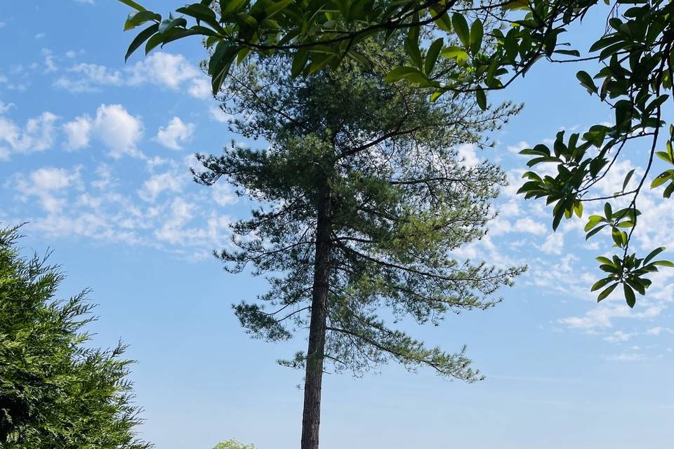 Cérémonie avec vue