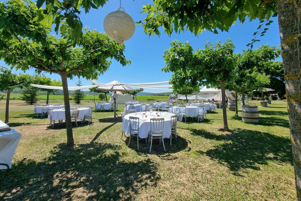 Mise en place tables en extéri