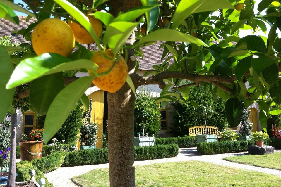 Orangerie - Jardin du Paradis