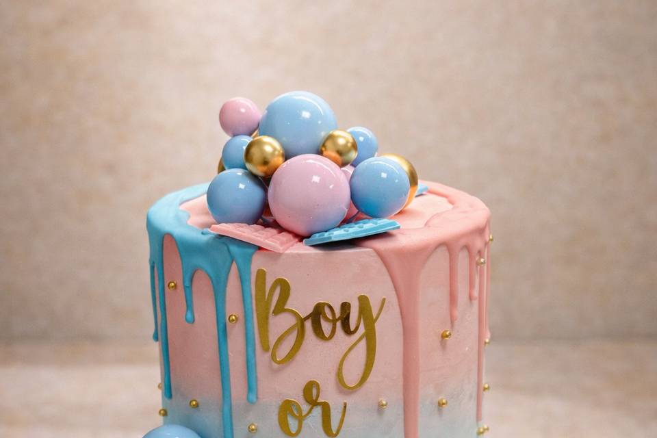 Gender Reveal : Boy or Girl ?