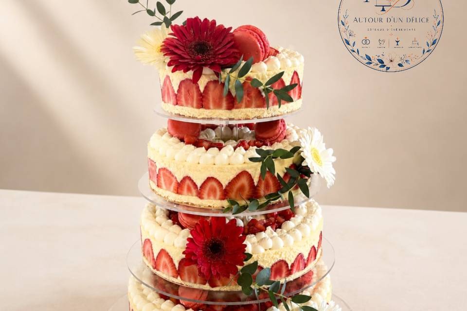 Fraisiee 60 parts
