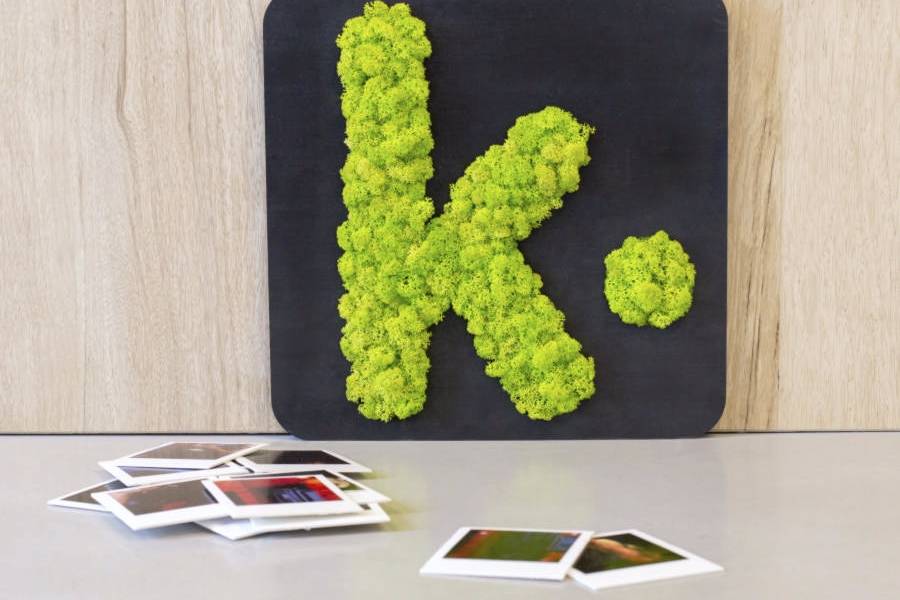 Lettre logo 3D végétal K.