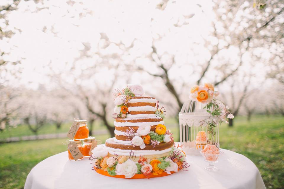 Styled shoot cake