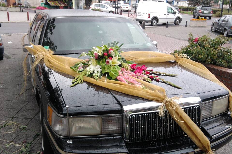 Deco possible