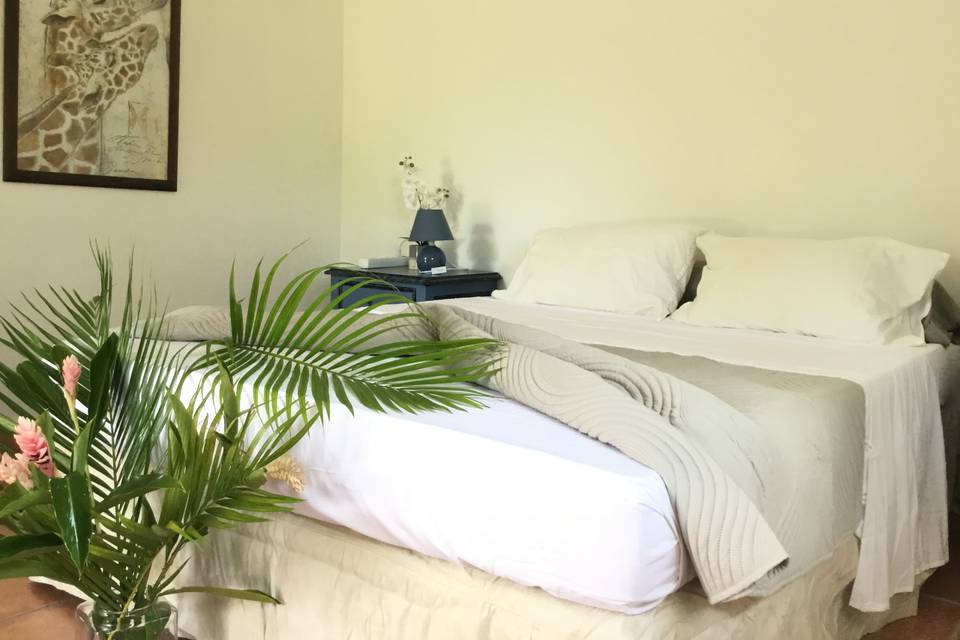 Bungalow 3 chambre