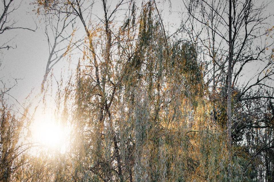 Porte en automne