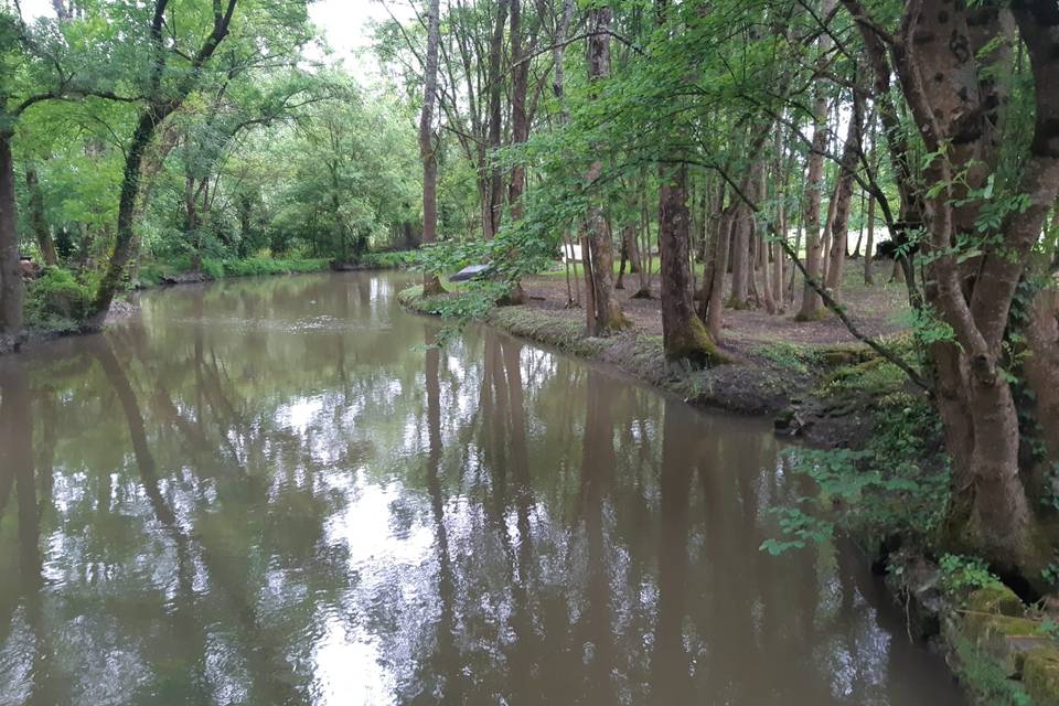 Le Domaine de Pladuc